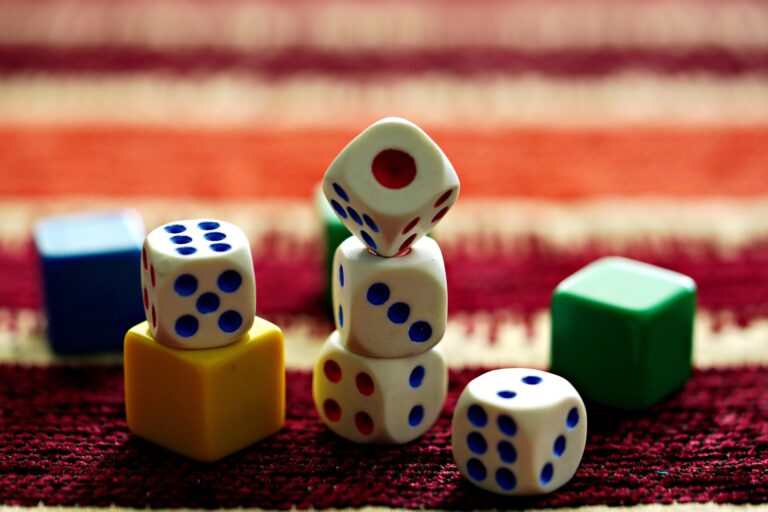 Jeux de société au Martin-pêcheur